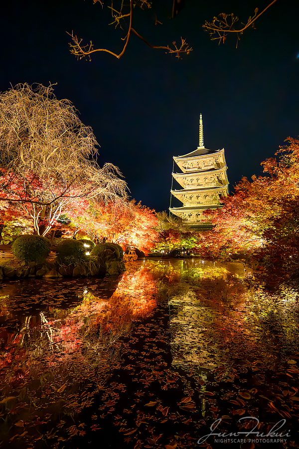 東寺 ナイトスケープ