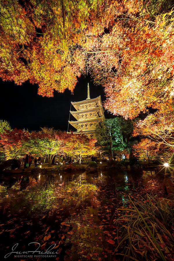 東寺 ナイトスケープ