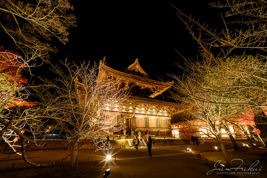 東寺 ナイトスケープ