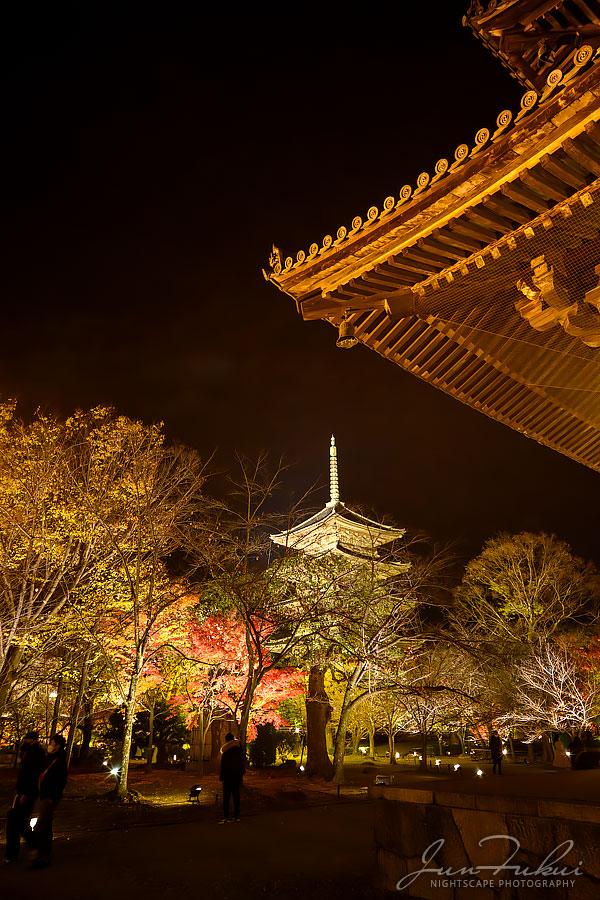 東寺 ナイトスケープ