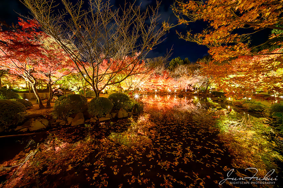 東寺 ナイトスケープ