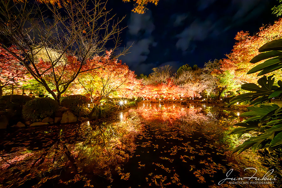 東寺 ナイトスケープ