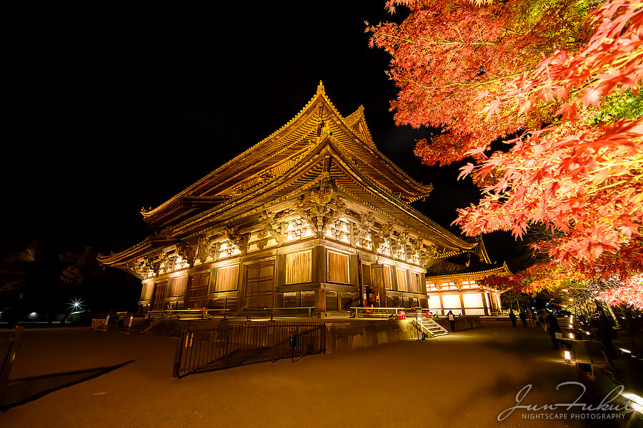 東寺 ナイトスケープ