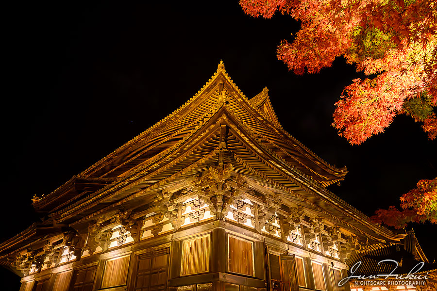 東寺 ナイトスケープ