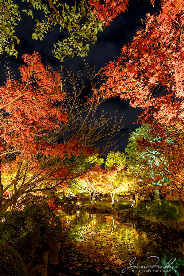 東寺 ナイトスケープ