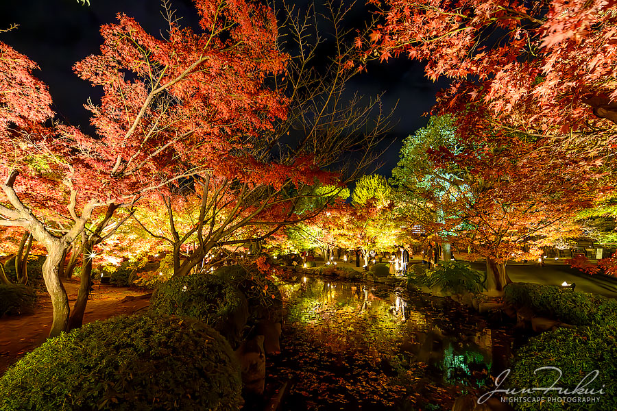 東寺 ナイトスケープ