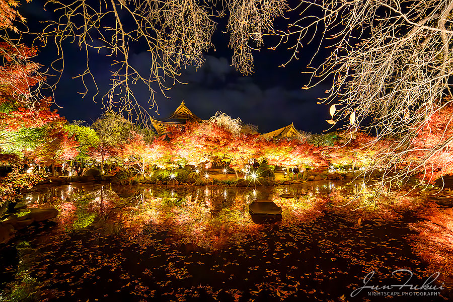 東寺 ナイトスケープ