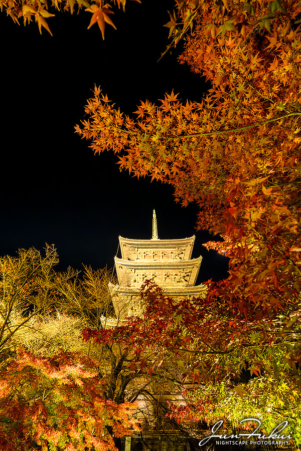 東寺 ナイトスケープ